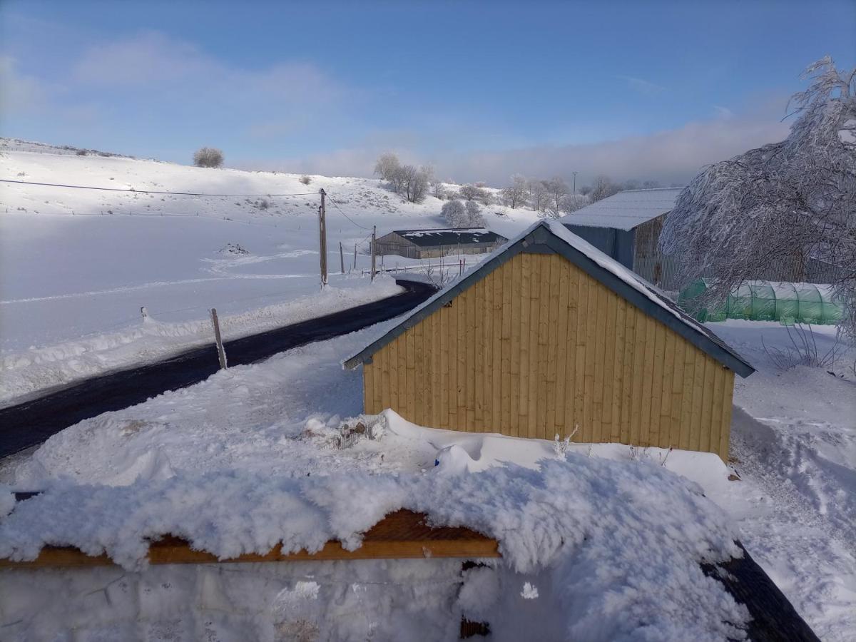 Gite L'Estive Du Clozel Besse-et-Saint-Anastaise Extérieur photo